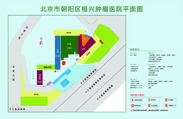 骚逼喷水被艹视频北京市朝阳区桓兴肿瘤医院平面图